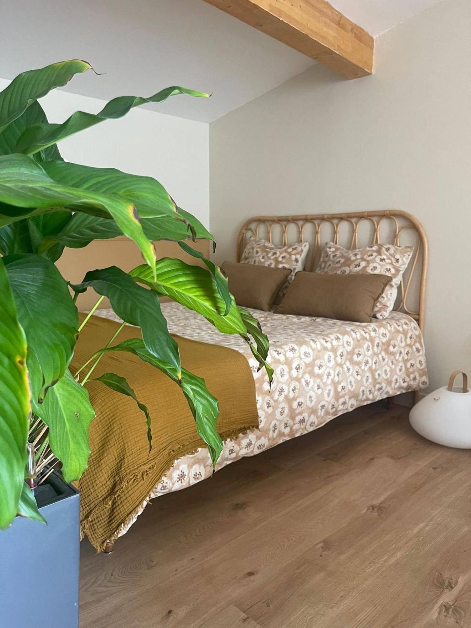 Studio Cosy Castanet-Tolosan Eksteriør billede